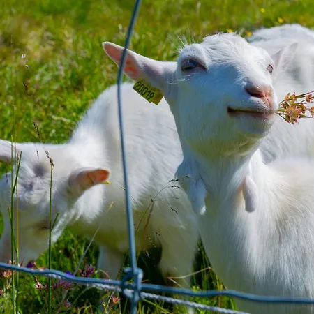 Charming 2-bedroom In 公寓 Beitostolen